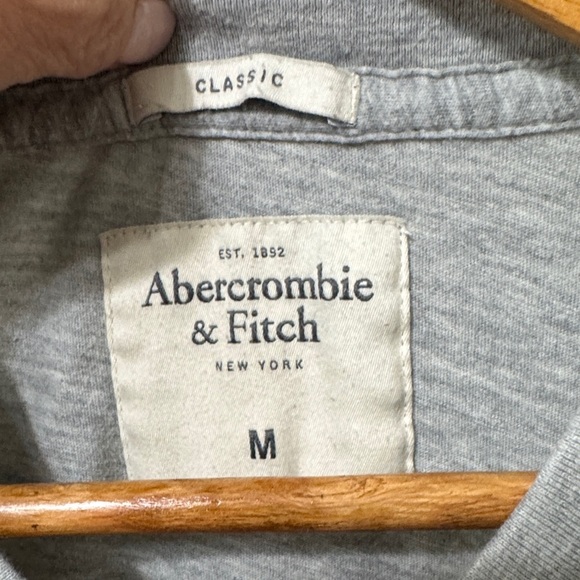 Abercrombie & Fitch Light Gray V-Neck Tee - Picture 2 of 7